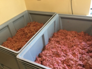 21.Purustatud rabarberit matsereeritakse enne pressimist_The cruched rhubarb is macerated before pressing