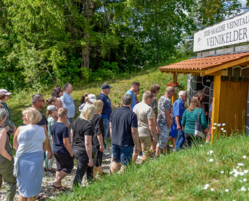 Avatud-talud-2023-6-Kaisa-Aarmaa-1536x988